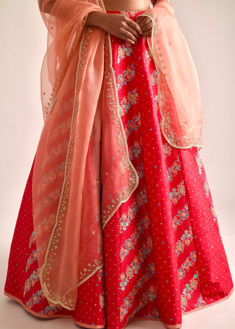 Tircha Panelled Lehenga Set - Red